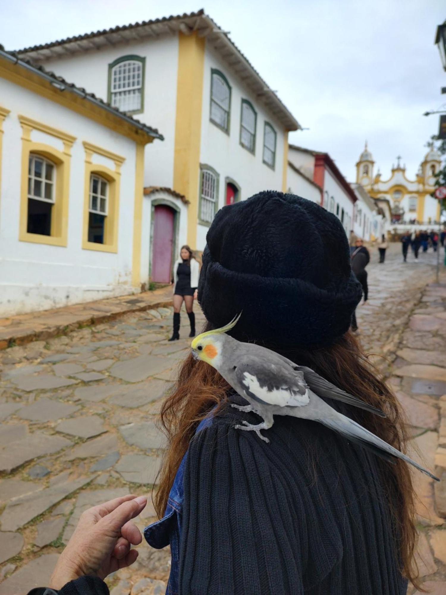Antiquario & Pousada Da Matriz Otel Tiradentes Dış mekan fotoğraf